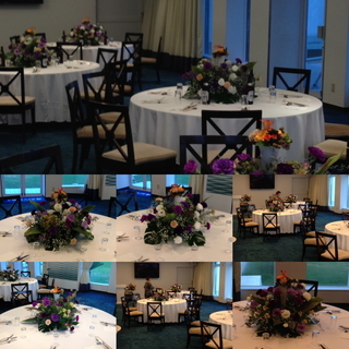 event001600.jpg