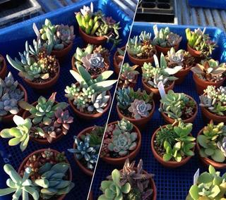 2013-12-12 17.07.10-w600.jpg